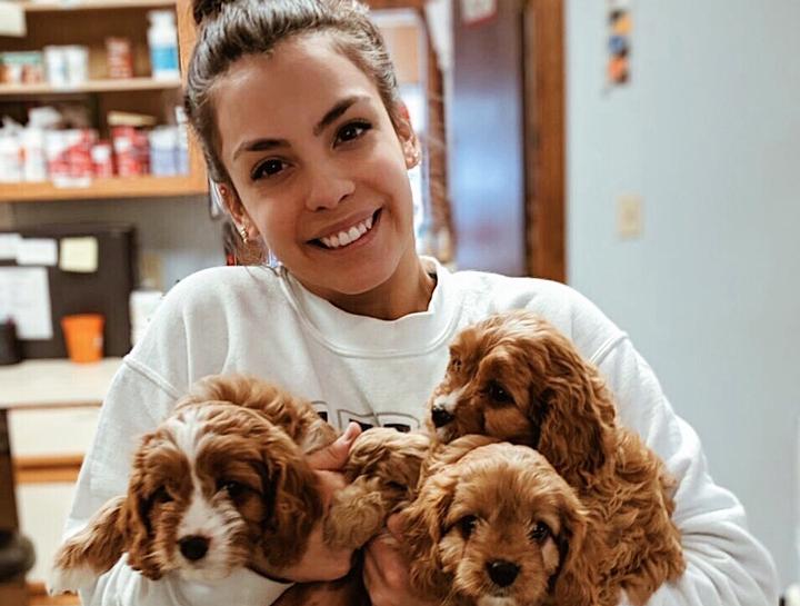 How Much Is A New Puppy Exam